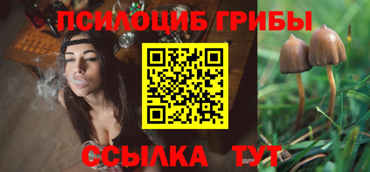 наркошоп  Вход с VPN  Кимовск  Псилоцибиновые грибы мицелий 